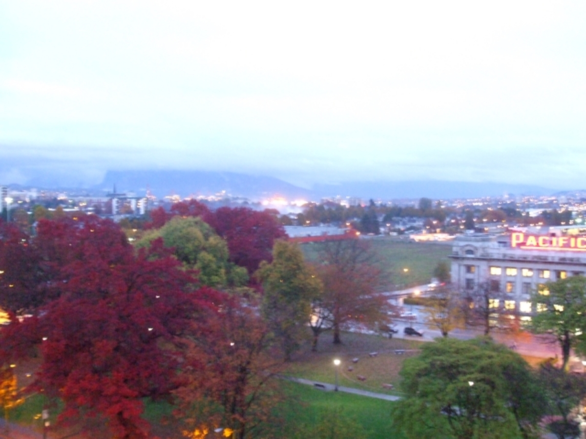 View at 1002 - 1255 Main St, Downtown, Vancouver